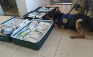 PRF apreende 70 kg de maconha 