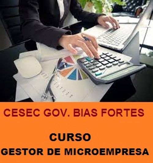 Curso Gestor de Microempresa no Cesec