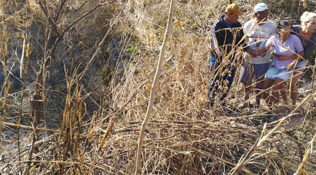 Menina desparecida é encontrada morta