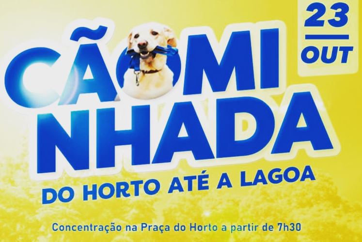 Domingo é Dia de Cãominhada