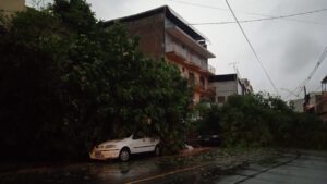 Os estragos da tempestade em Muriaé