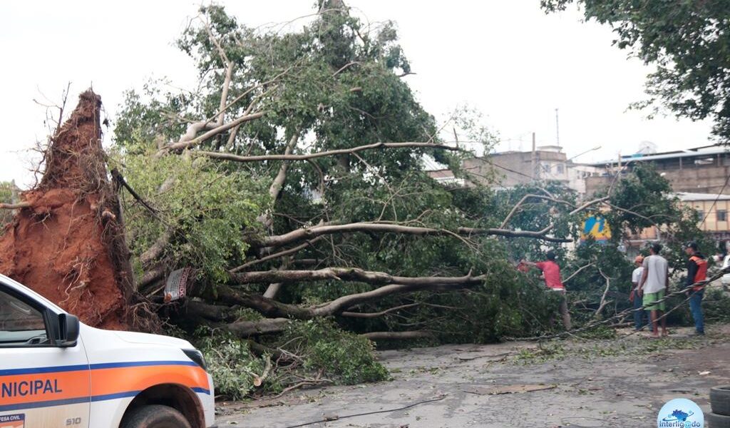 Os estragos da chuva em Muriaé