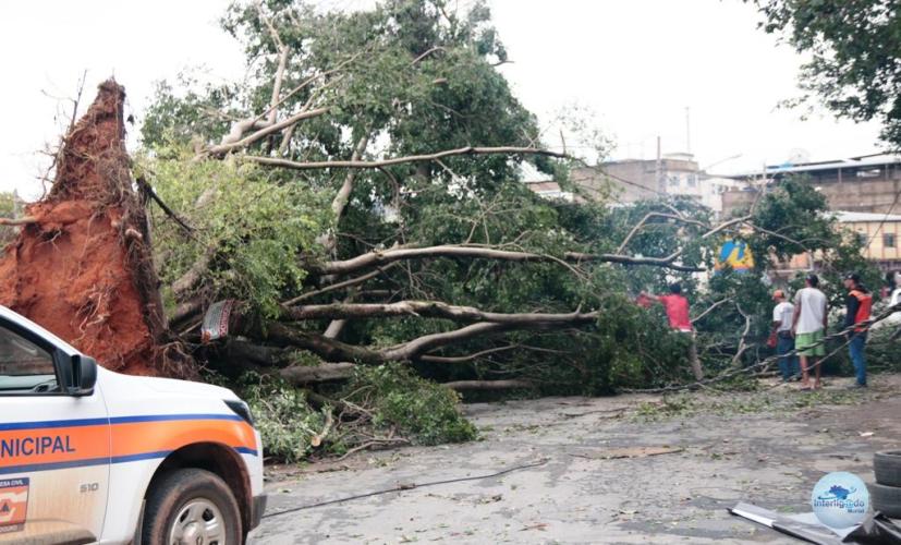 Defesa Civil e a tempestade na cidade