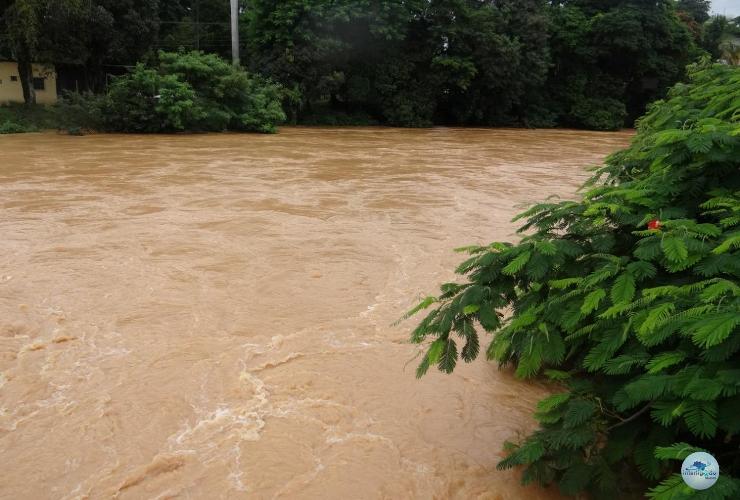 Volume dos rios tem tendência de queda