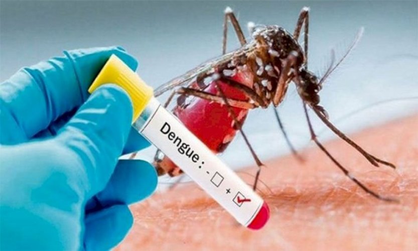 Muriaé vive surto de Dengue tipo 1