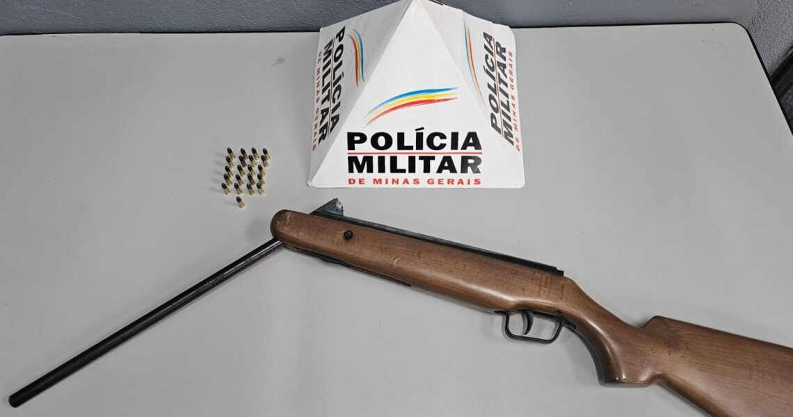 Apreensão de arma de fogo e munições