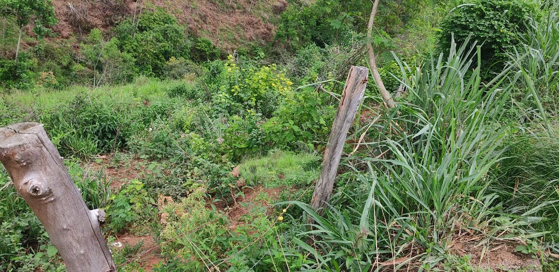 Miradouro: corpo encontrado em pasto