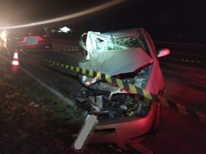Idosa morre em acidente na BR 116