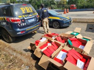 Caminhoneiro é preso com 300 kg de maconha