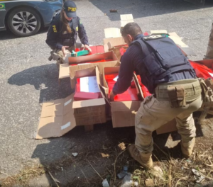 Caminhoneiro é preso com 300 kg de maconha