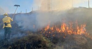 Bombeiros de Muriaé capacitam brigadistas 