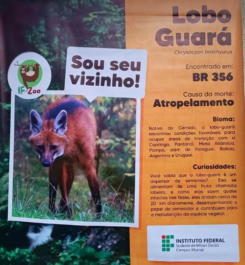 Projeto IF Zoo vai apresentar acervo com animais da Mata Atlântica