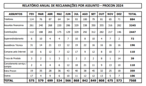 Procon de Muriaé faz balanço de atendimentos em 2024 